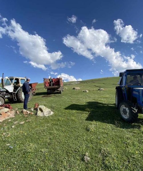 IMG-54cf672c7127a82dbbf4a2be800749d0-V (1)